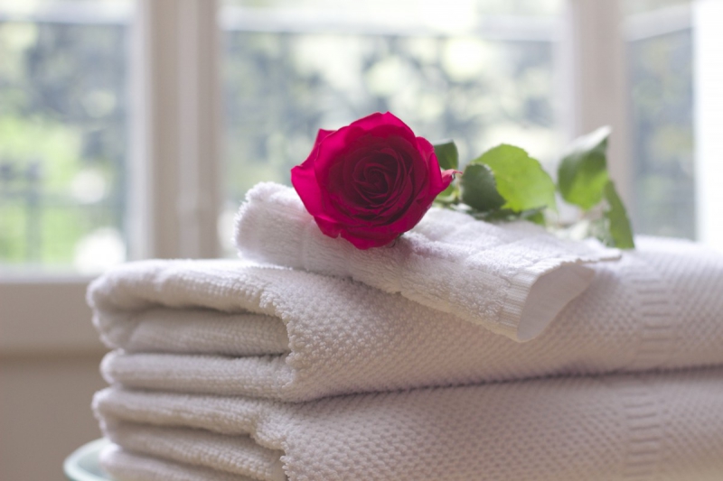 chambre-hote-VINON SUR VERDON-min_towel_rose_clean_care_salon_spa_white_bath-731641